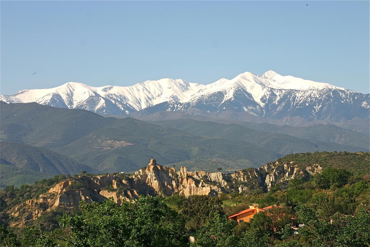Holiday home Des Orgues De La Sybille Agave Canigou *