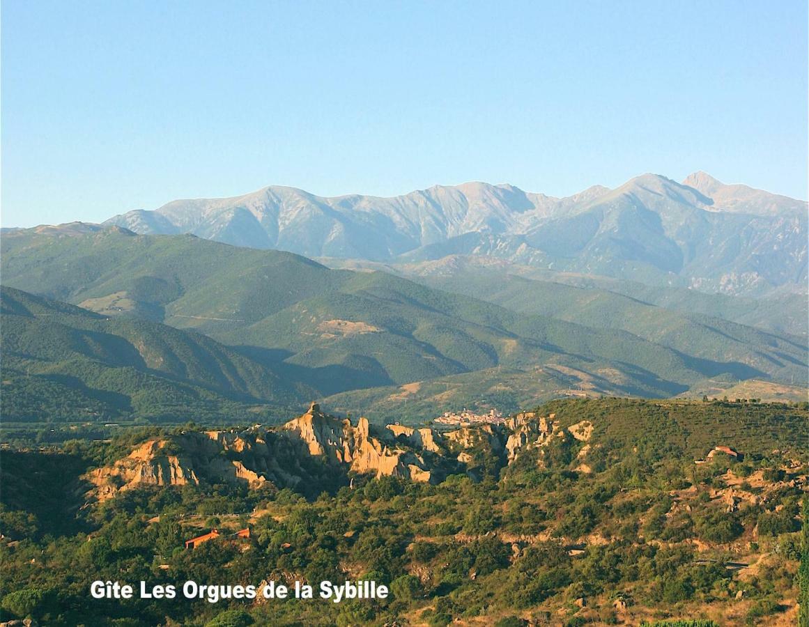 Des Orgues De La Sybille Agave Canigou Holiday home *